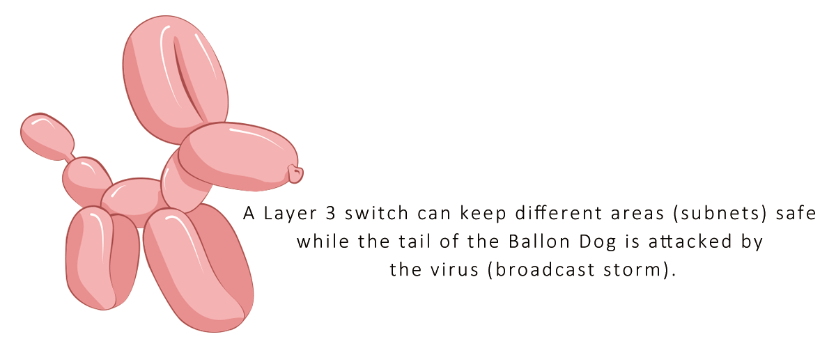 Layer 3 Switch will keep different areas (subnets) safe while the virus (storm) attacks the tail of the Balloon Dog 