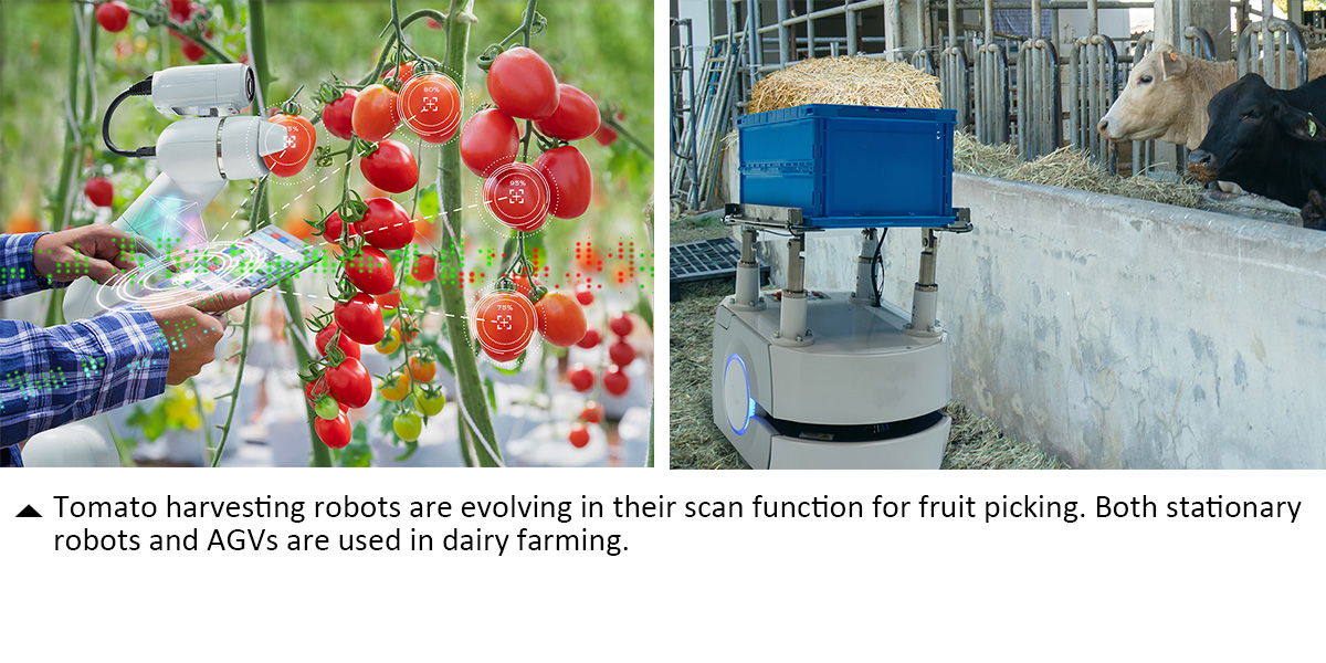 Tomato harvesting robots are evolving in their scan function for fruit picking. Both stationary robots and AGVs are used in dairy farming.(click to larger size image)